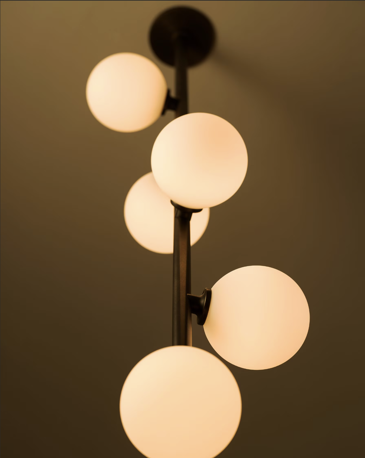 BLOOM 5 par Allied Maker