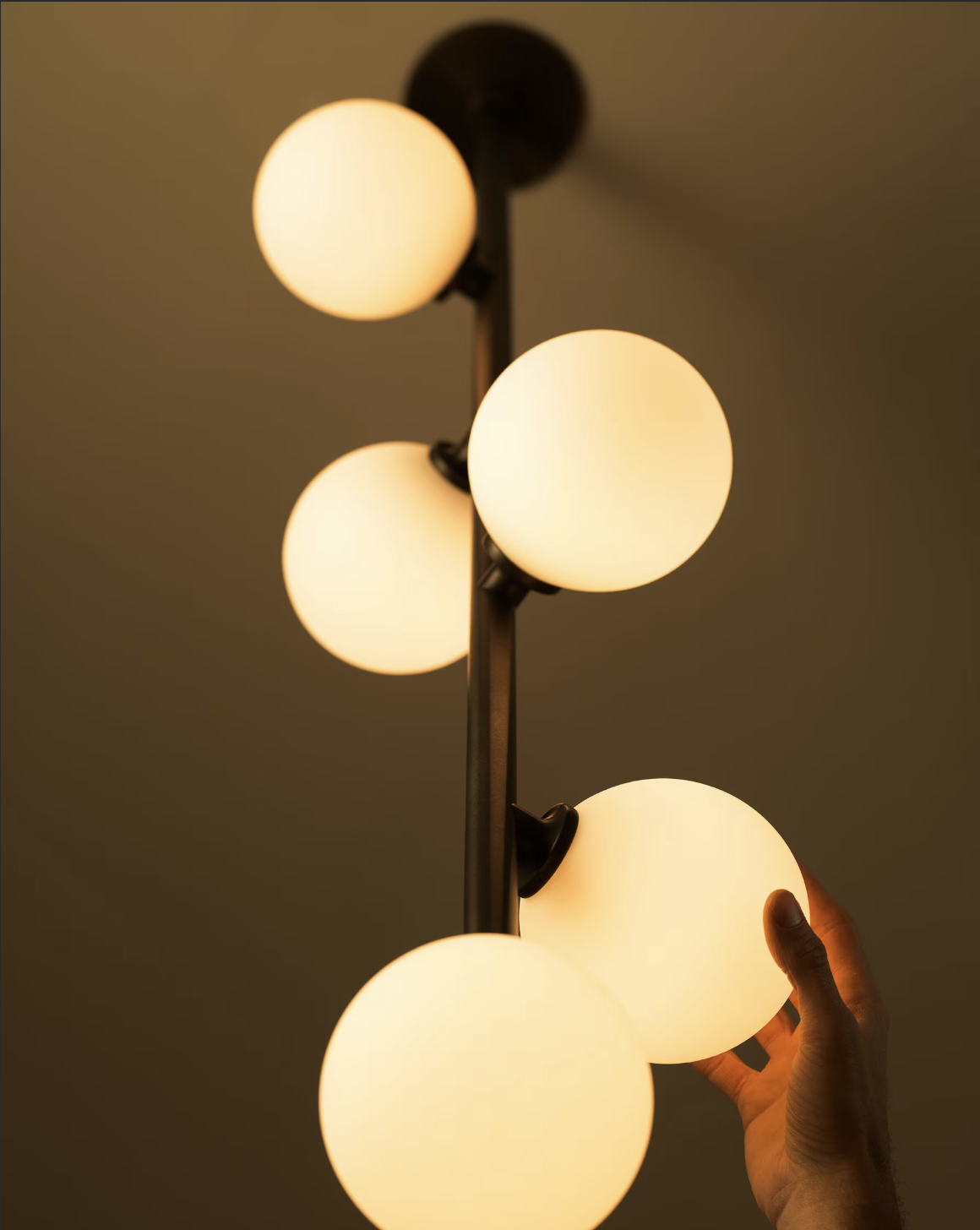 BLOOM 5 par Allied Maker