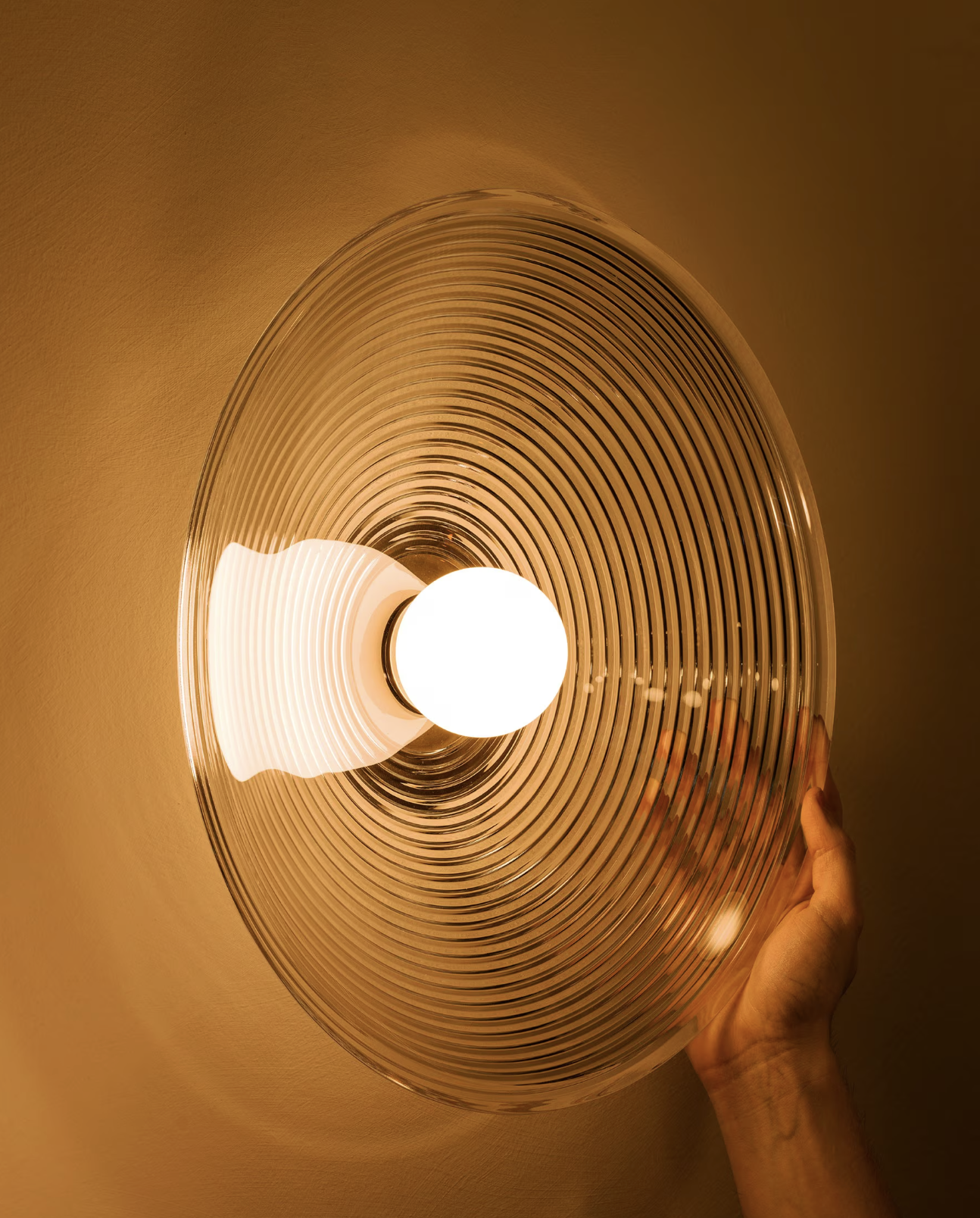 GLASS CONCENTRIC 16 par Allied Maker