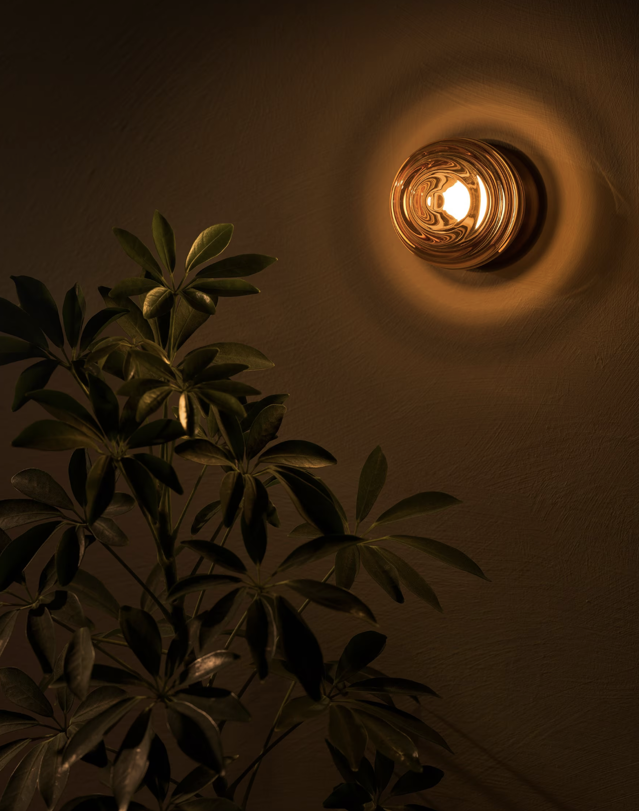 NAUTILUS TRIMLESS MINI ORB 3 par Allied Maker