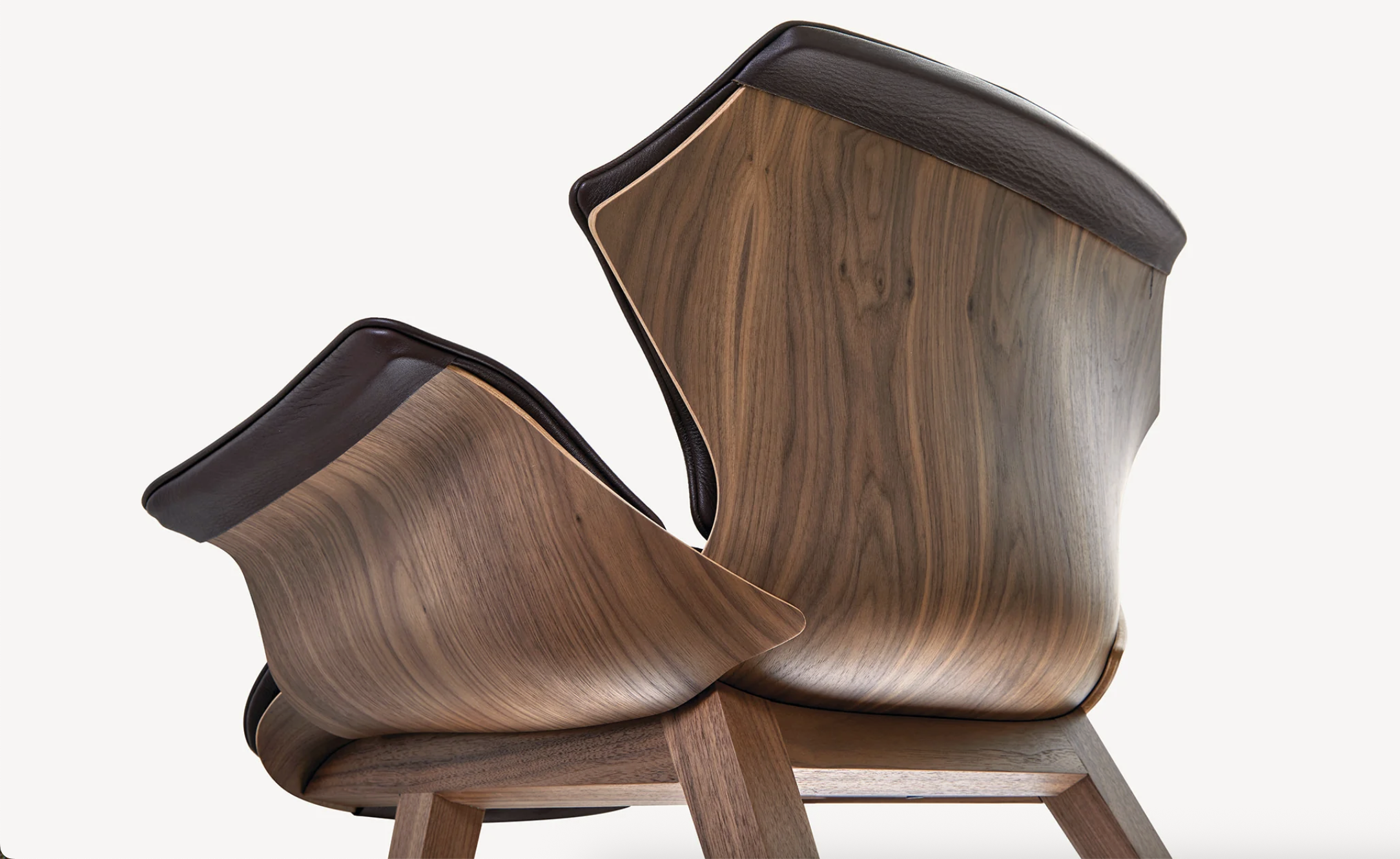 PETAL LOUNGE CHAIR par BassamFellows