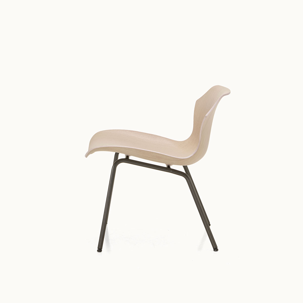 PETAL LOUNGE CHAIR METAL BASE par BassamFellows