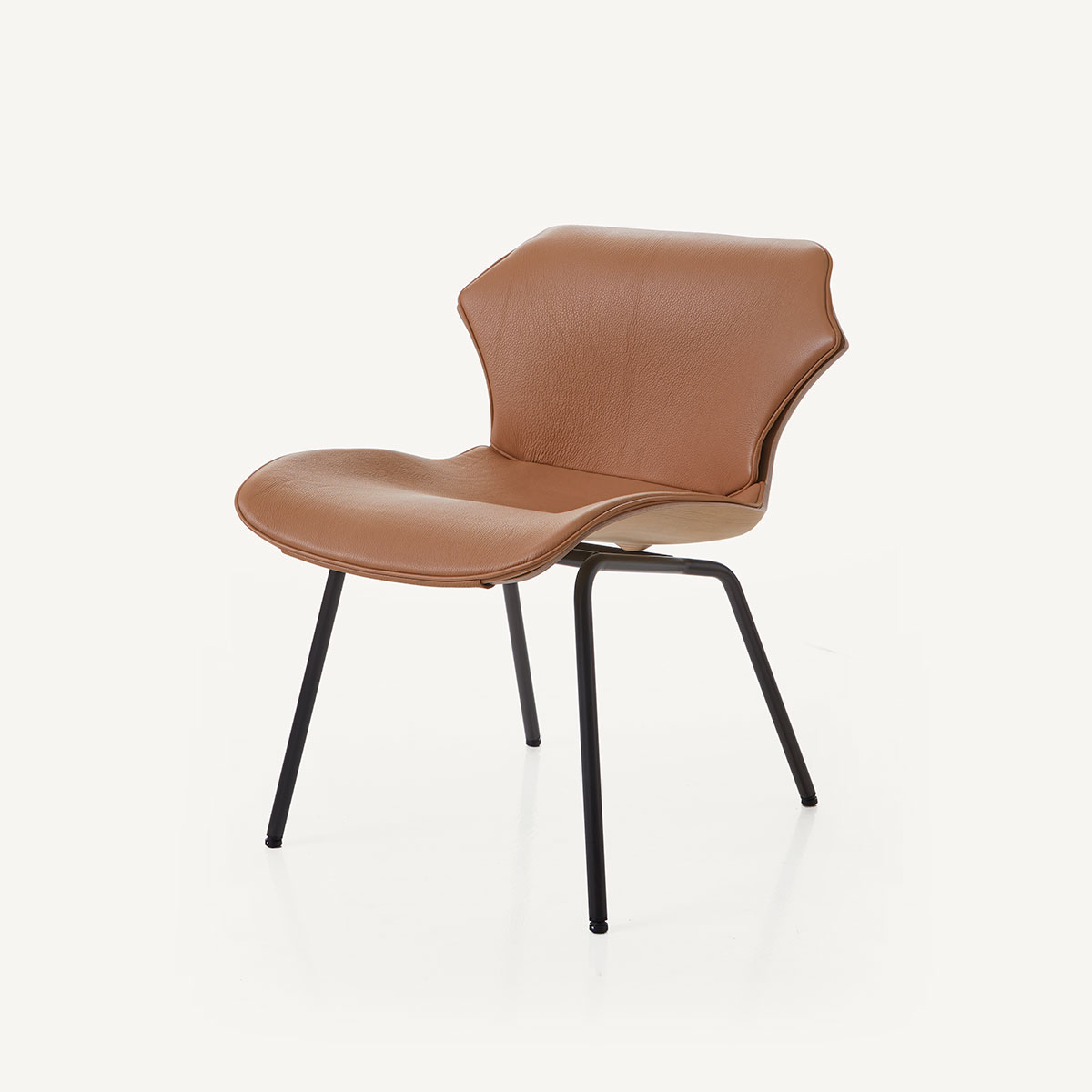 PETAL LOUNGE CHAIR METAL BASE par BassamFellows