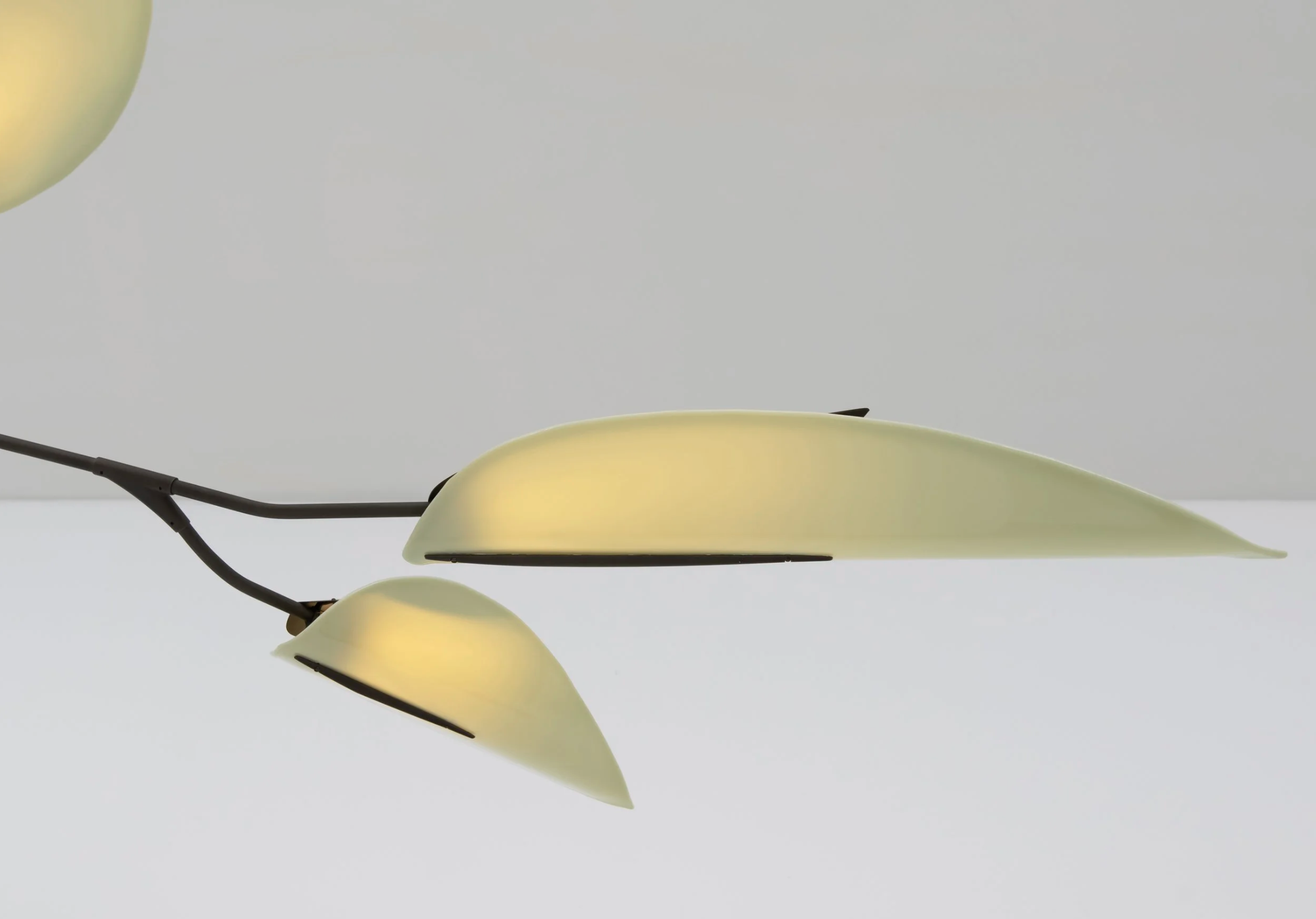 UNFURL 6 LEAF par Bec Brittain