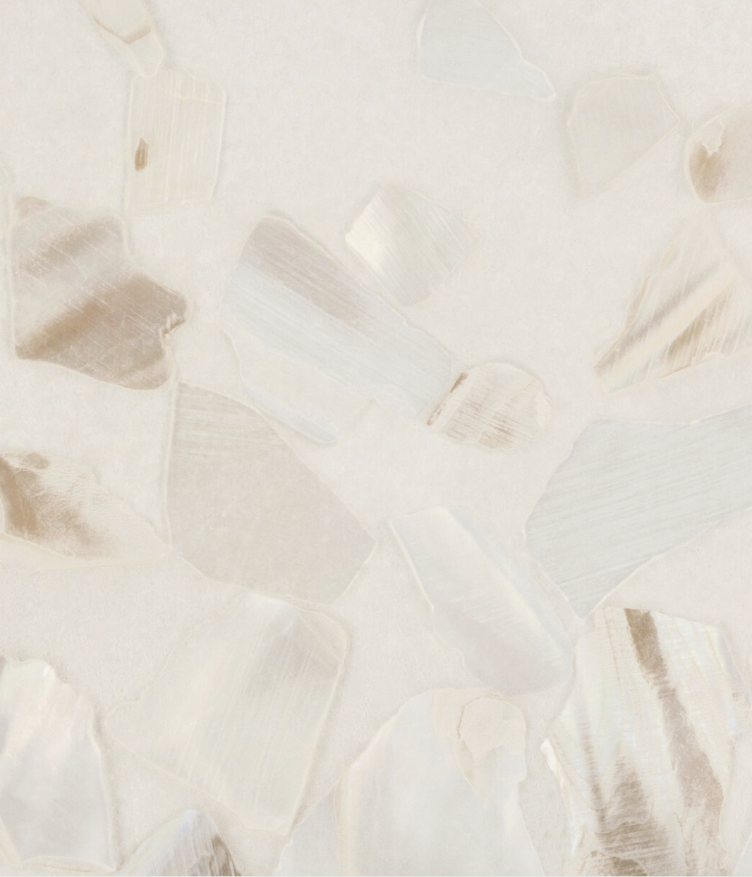ABALONE par Calico Wallpaper