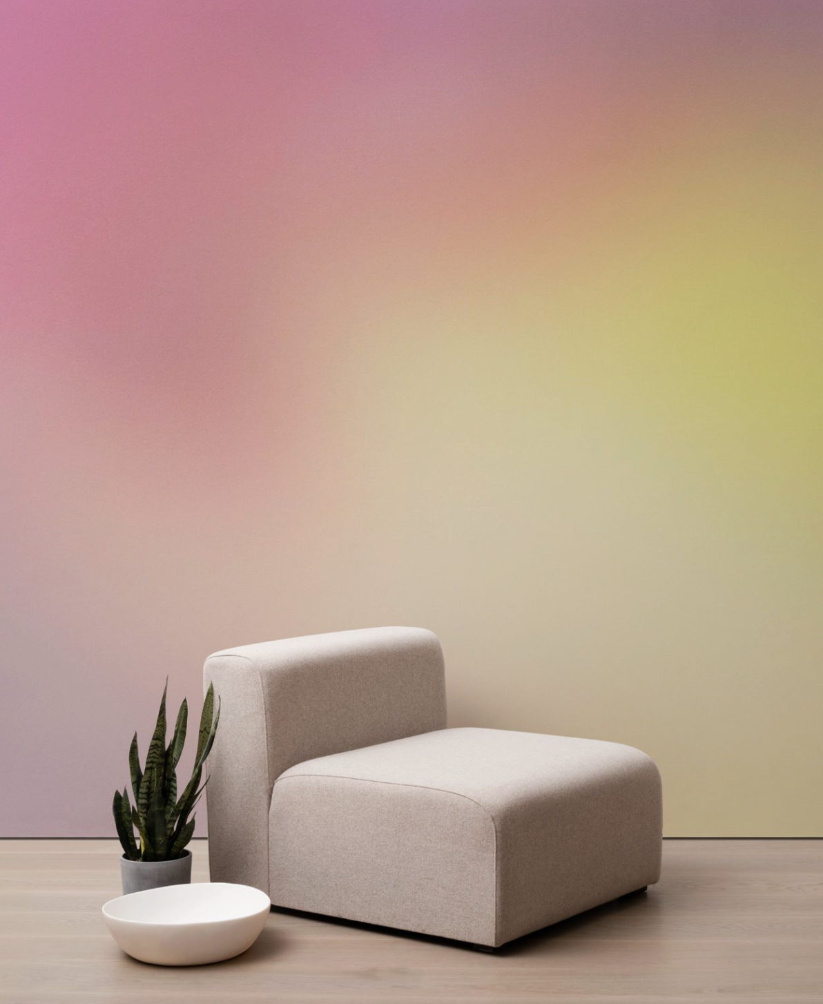 AURA par Calico Wallpaper