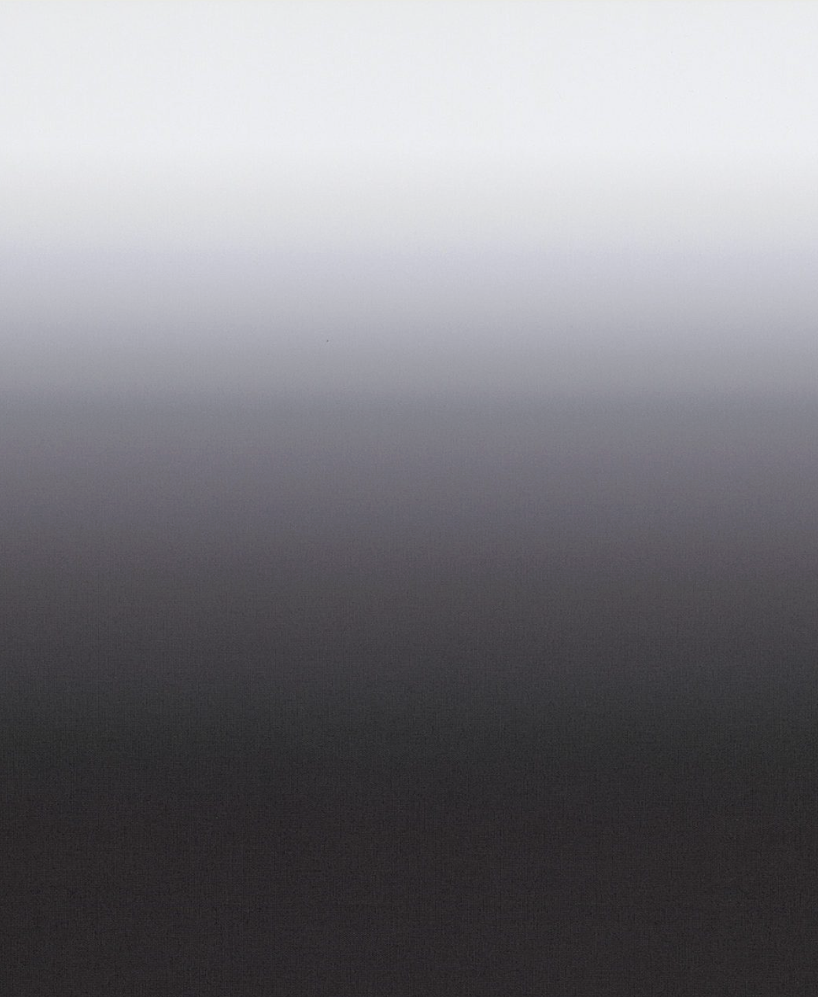 AURORA par Calico Wallpaper