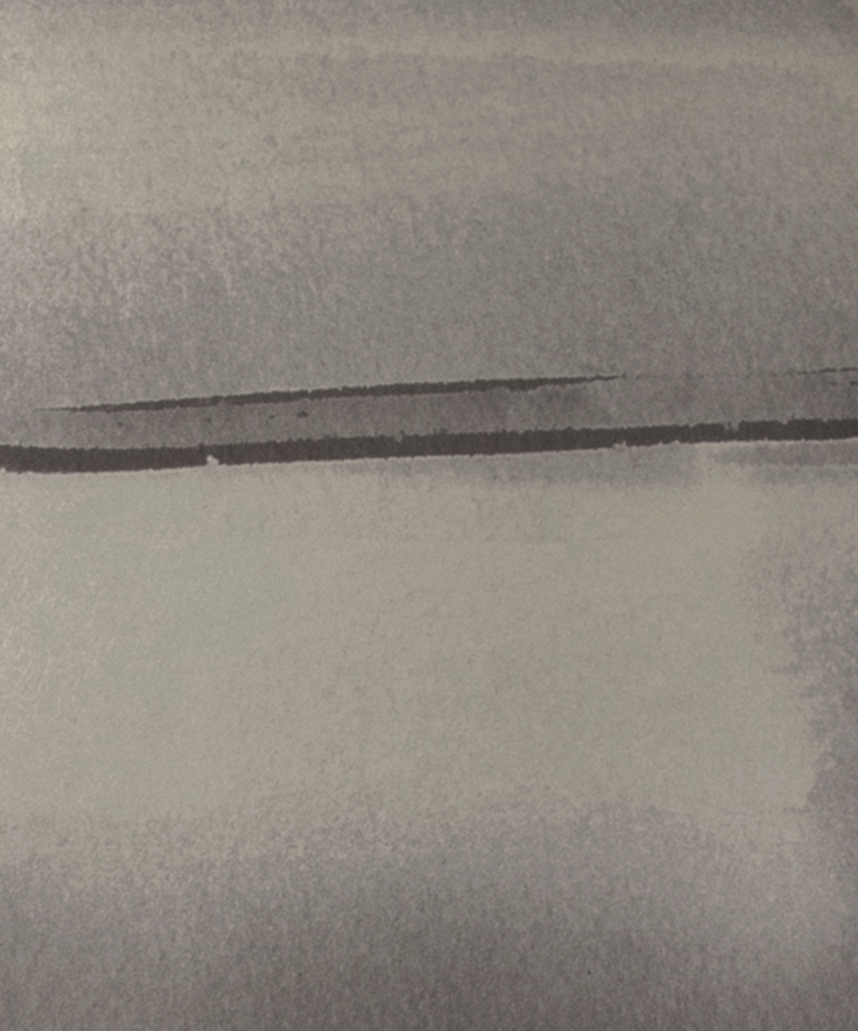 CIRRUS par Calico Wallpaper