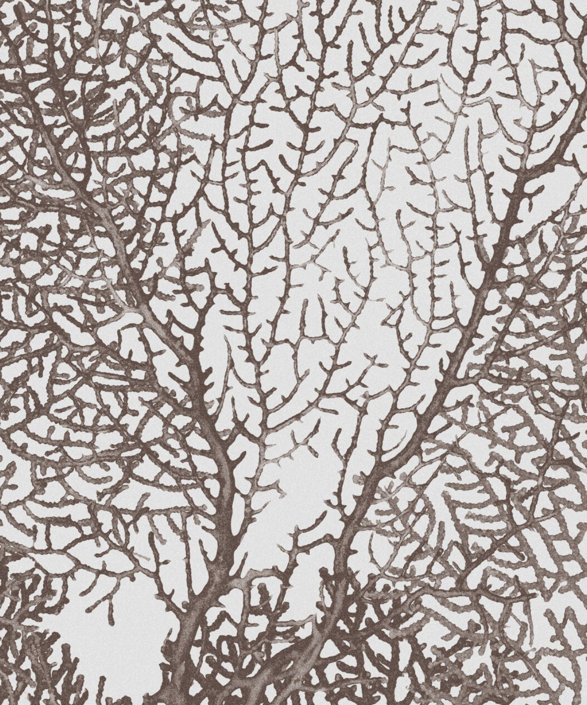 CORALLINE par Calico Wallpaper