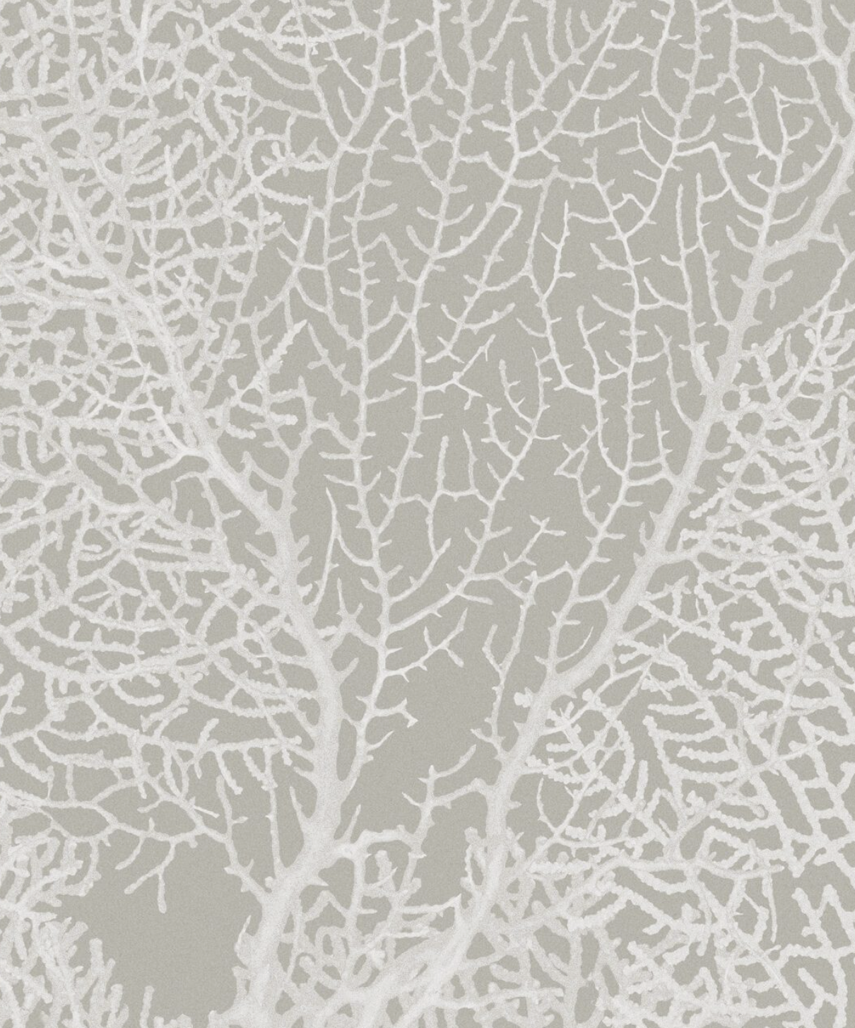 CORALLINE par Calico Wallpaper