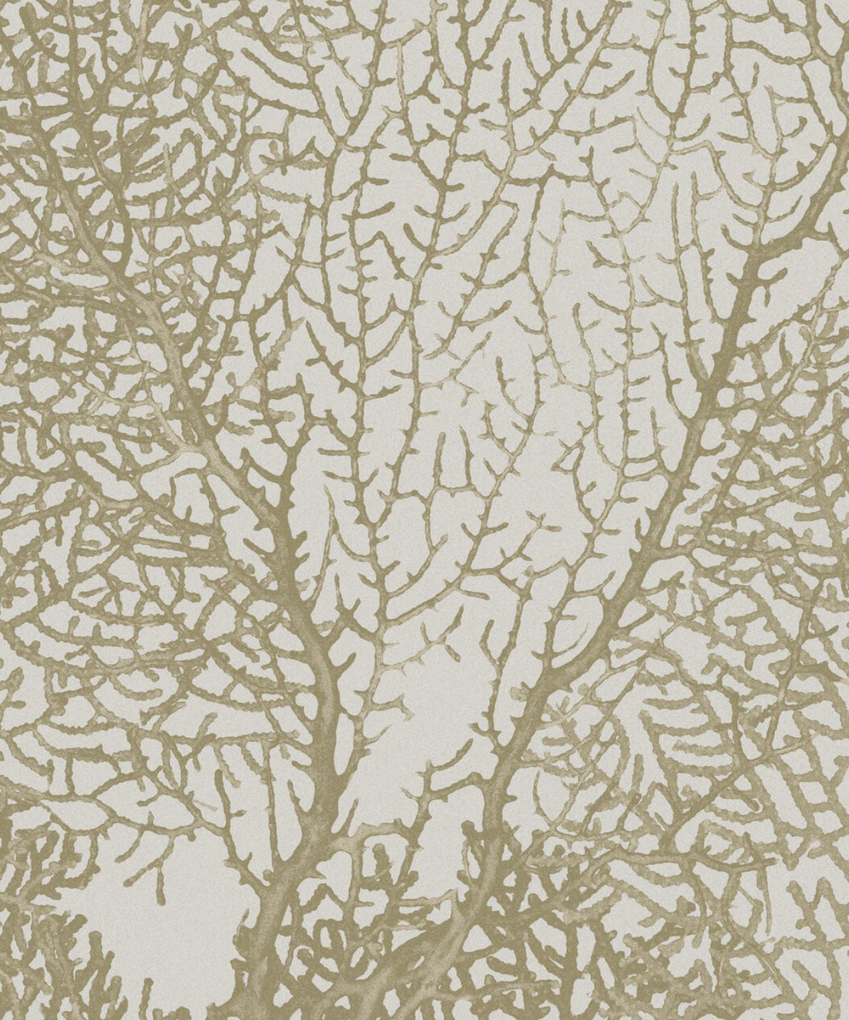 CORALLINE par Calico Wallpaper