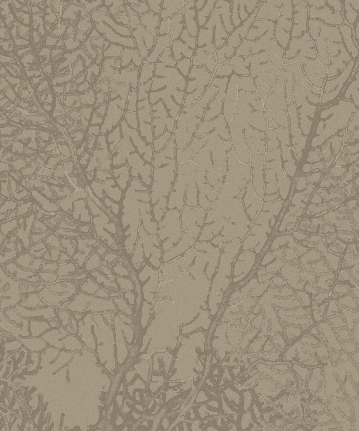 CORALLINE par Calico Wallpaper