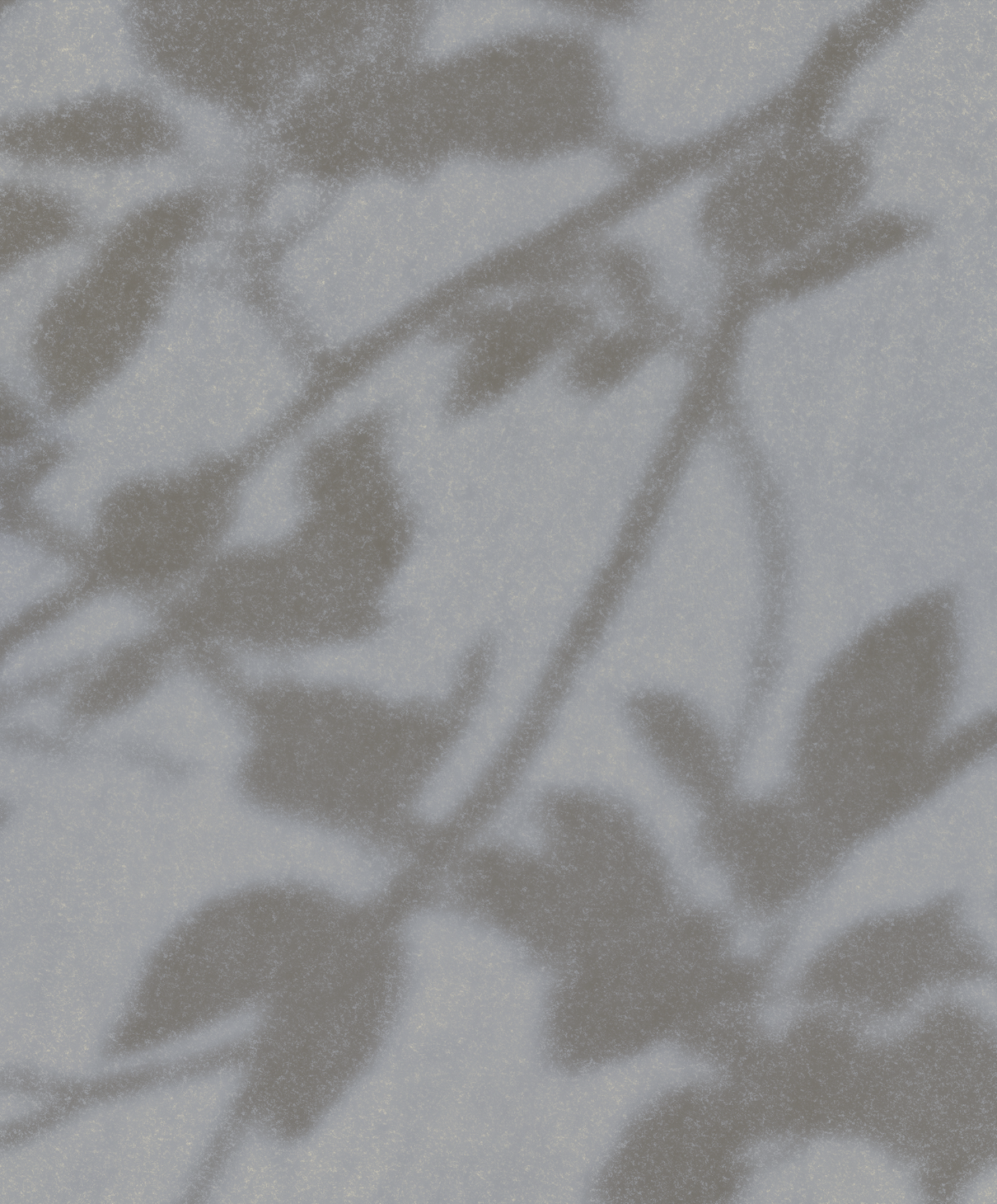 DIAPHANOUS par Calico Wallpaper