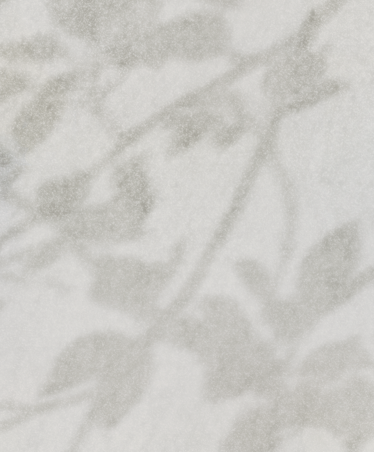DIAPHANOUS par Calico Wallpaper