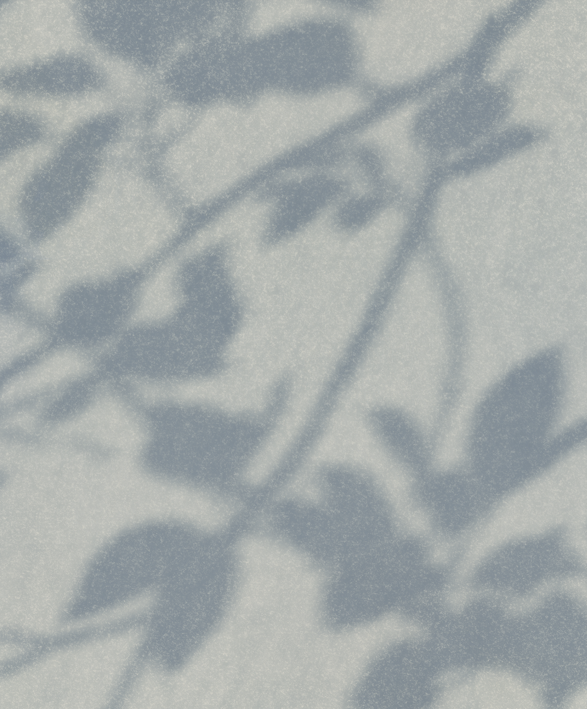 DIAPHANOUS par Calico Wallpaper