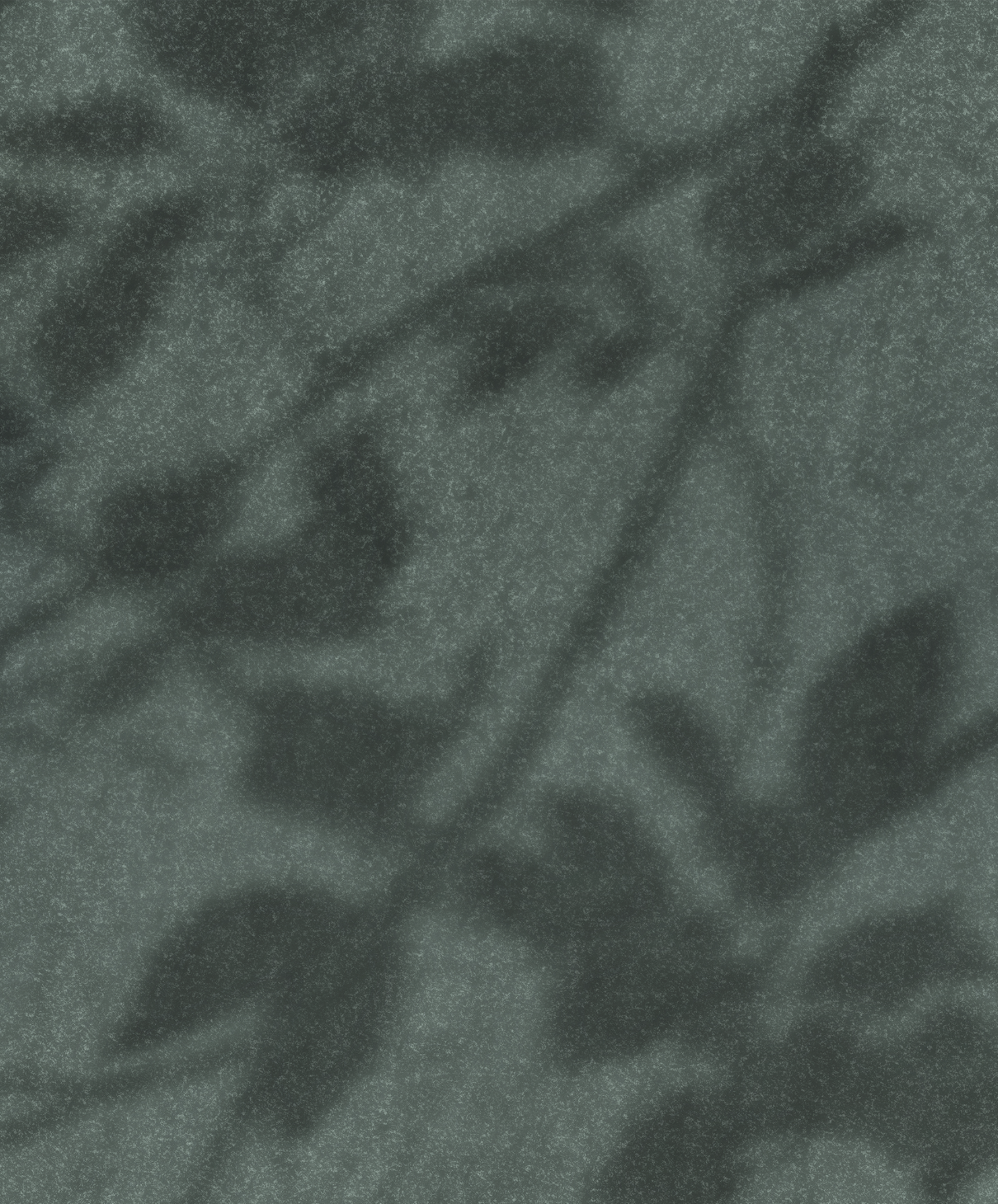 DIAPHANOUS par Calico Wallpaper
