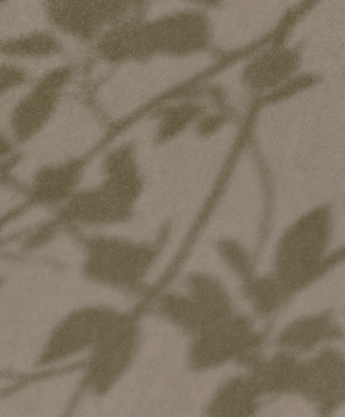 DIAPHANOUS par Calico Wallpaper