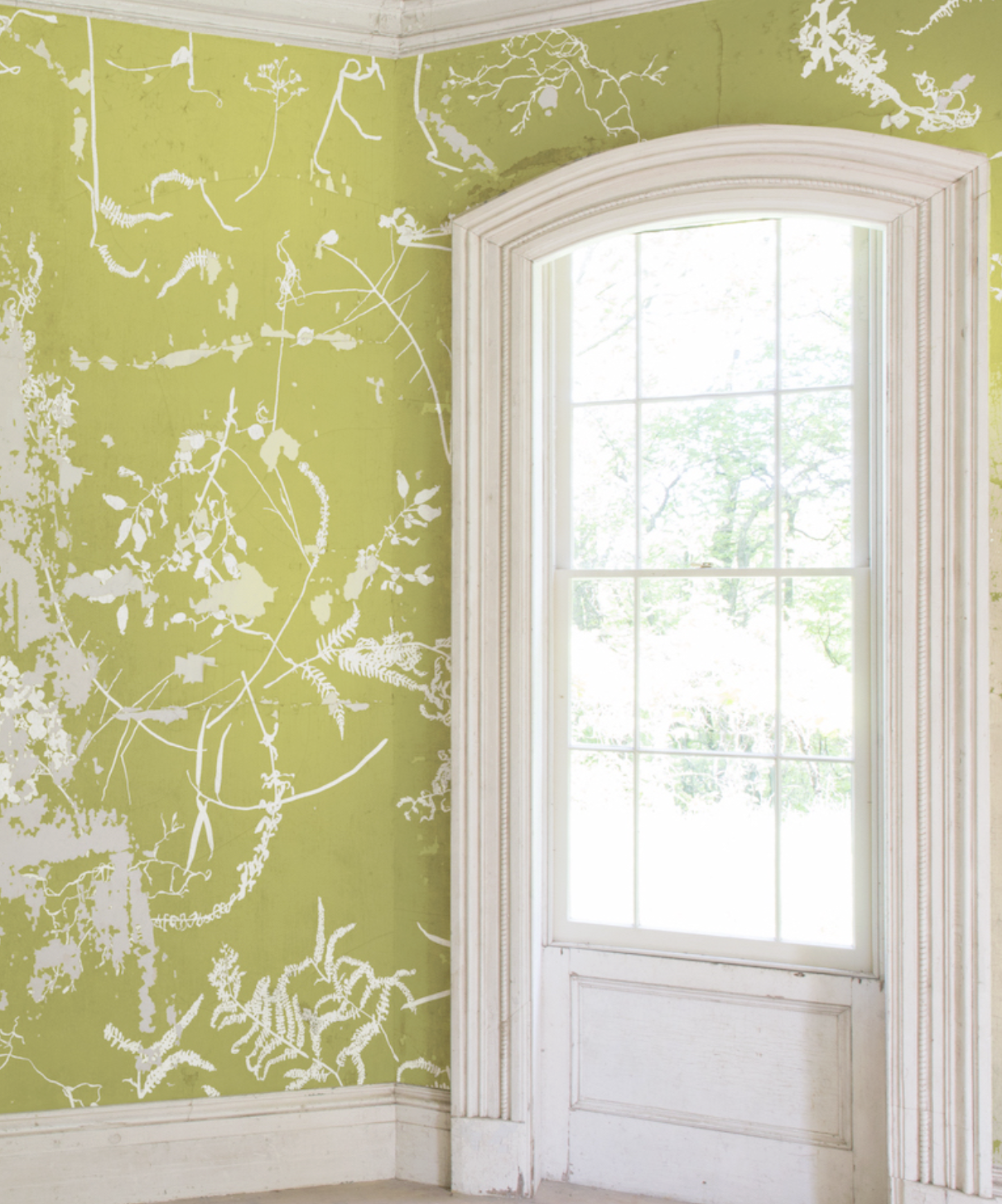 EDEN par Calico Wallpaper