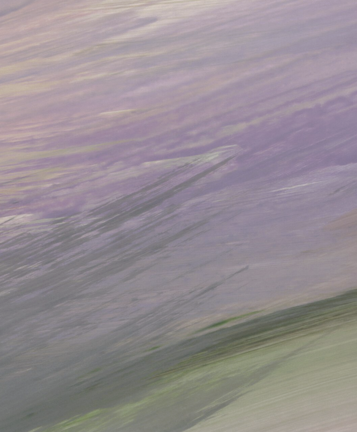LUMINOUS par Calico Wallpaper