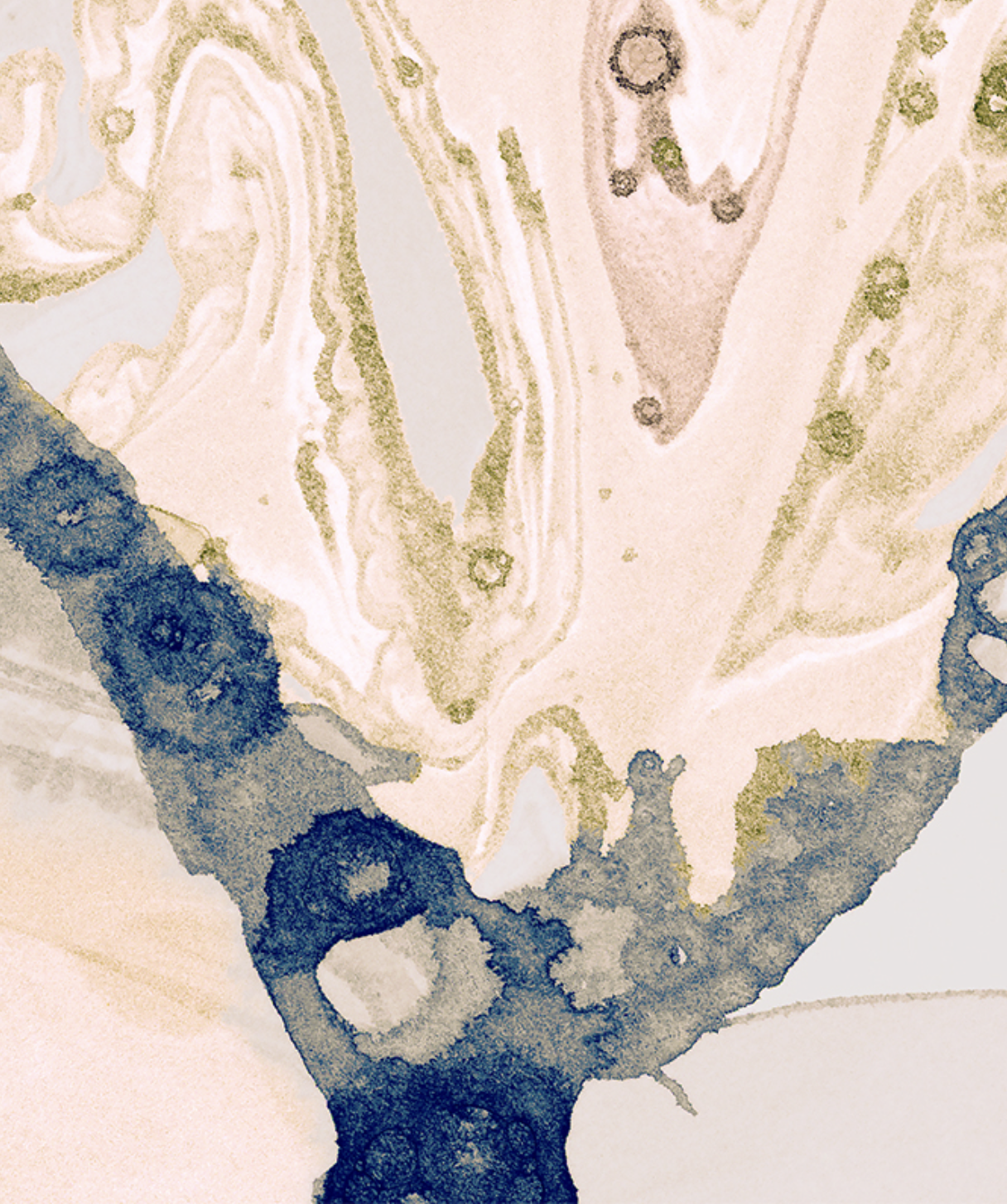 MICROCOSMOS par Calico Wallpaper