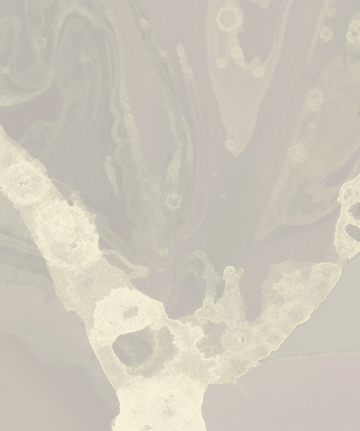 MICROCOSMOS par Calico Wallpaper