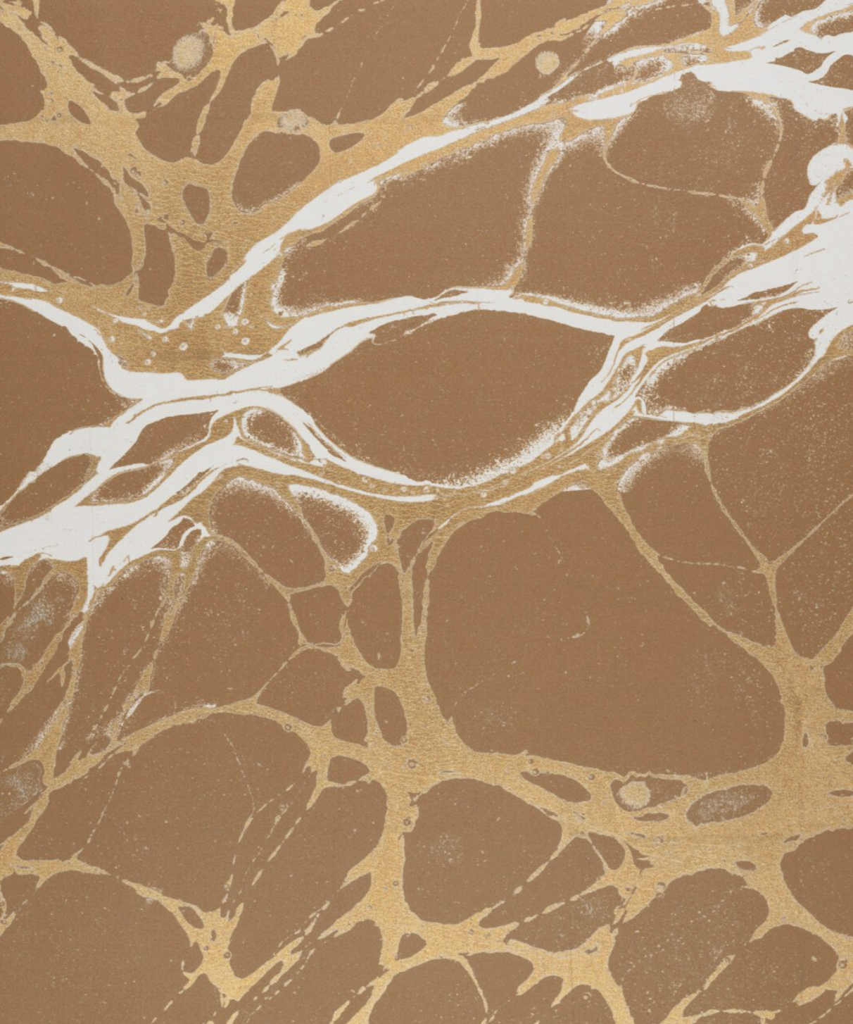 NIGHT par Calico Wallpaper