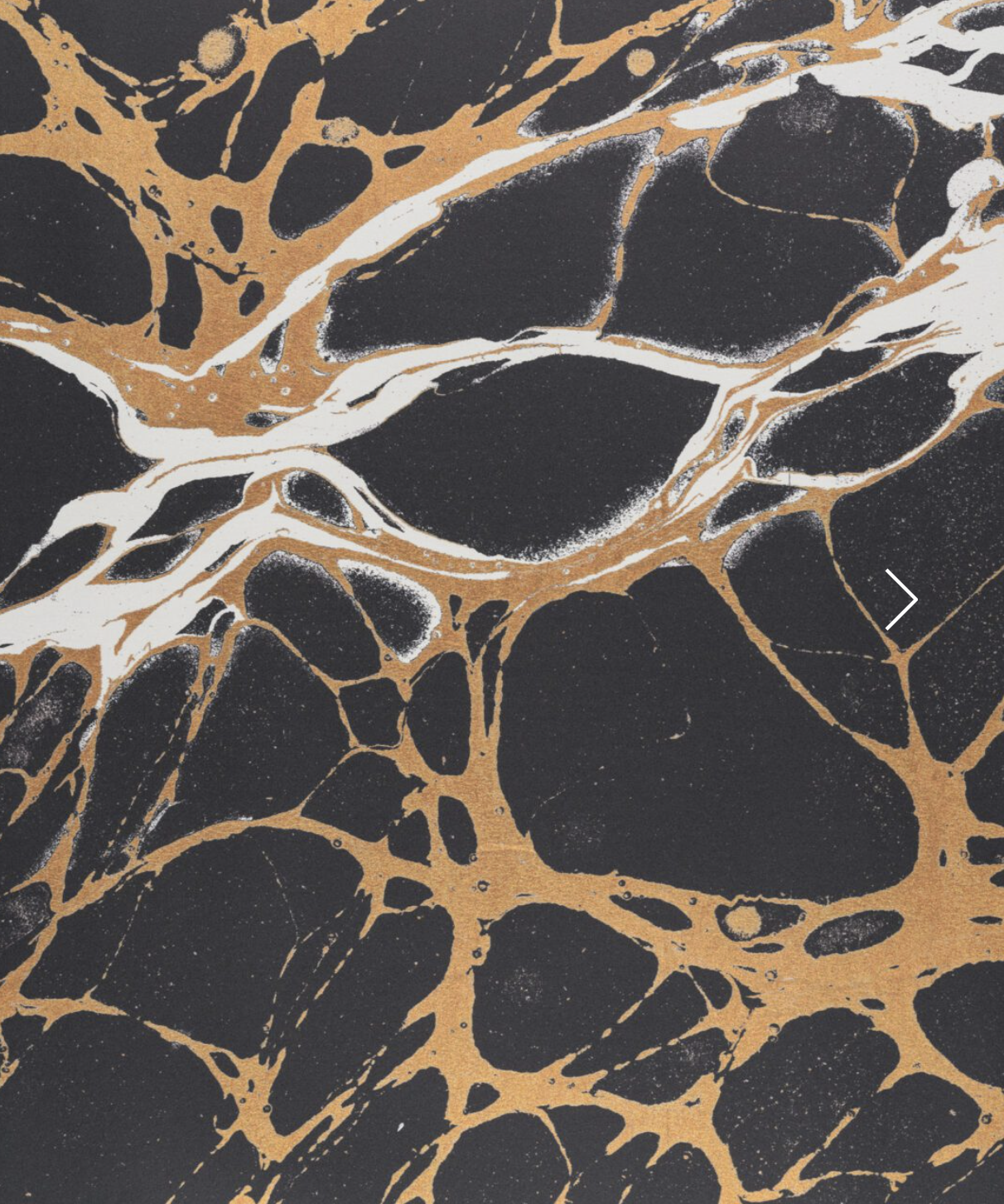 NIGHT par Calico Wallpaper