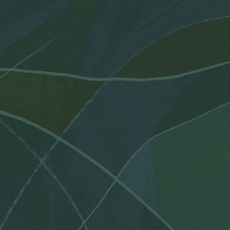 OBLIQUE par Calico Wallpaper