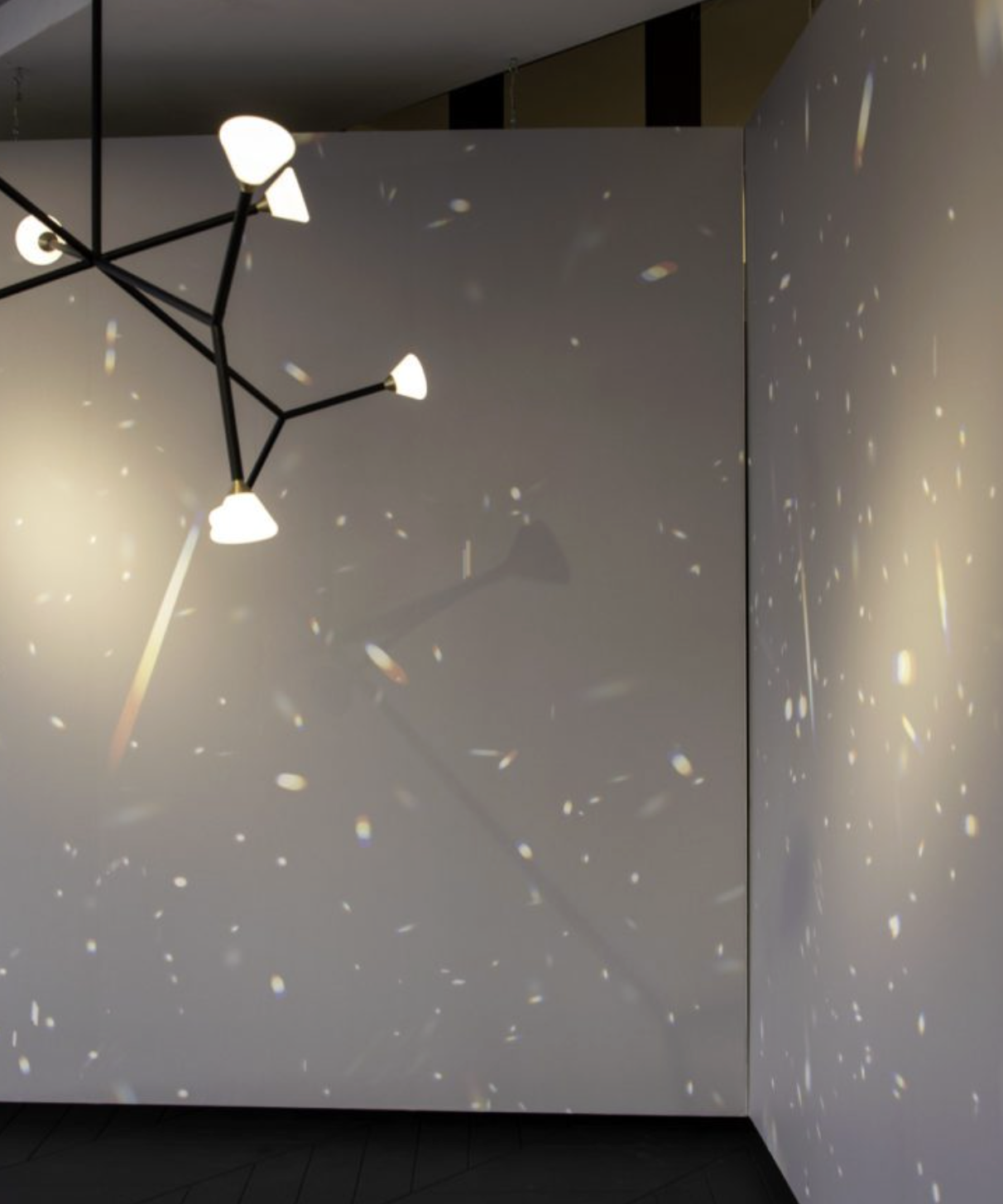 PRISM par Calico Wallpaper