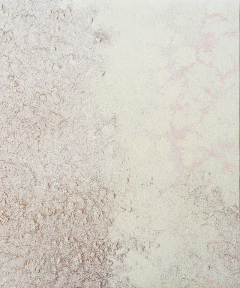 OCEANIA par Calico Wallpaper