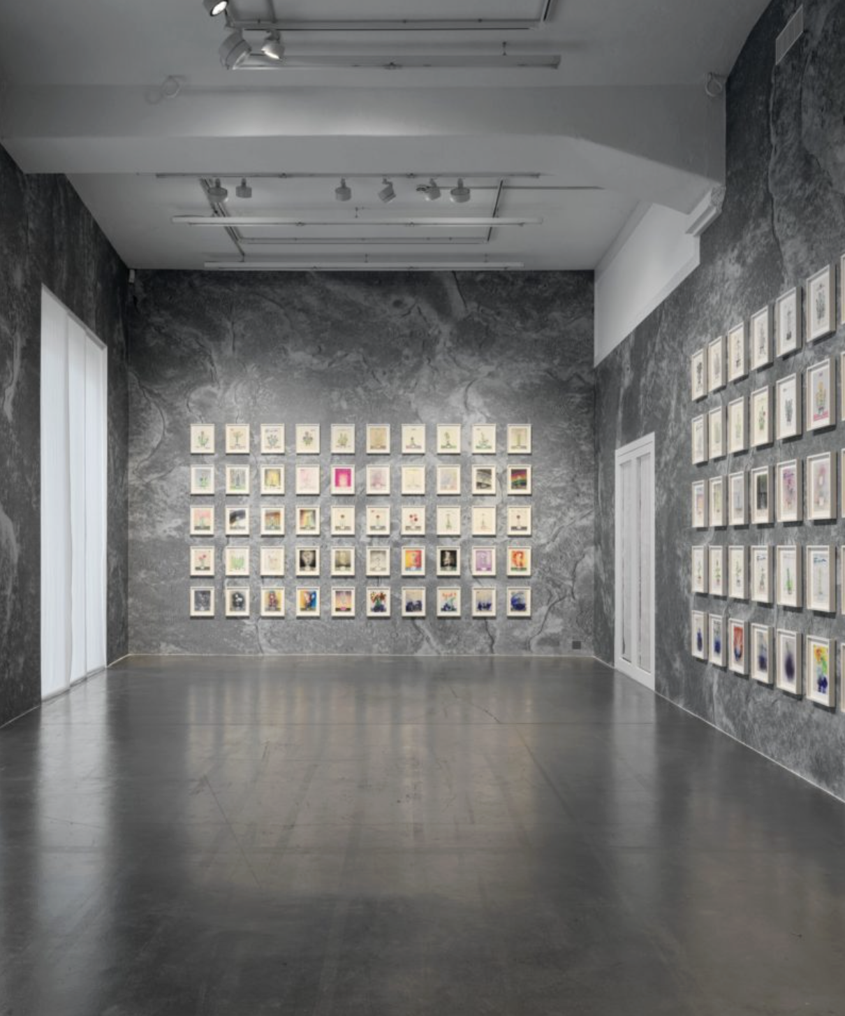 TERRA par Calico Wallpaper