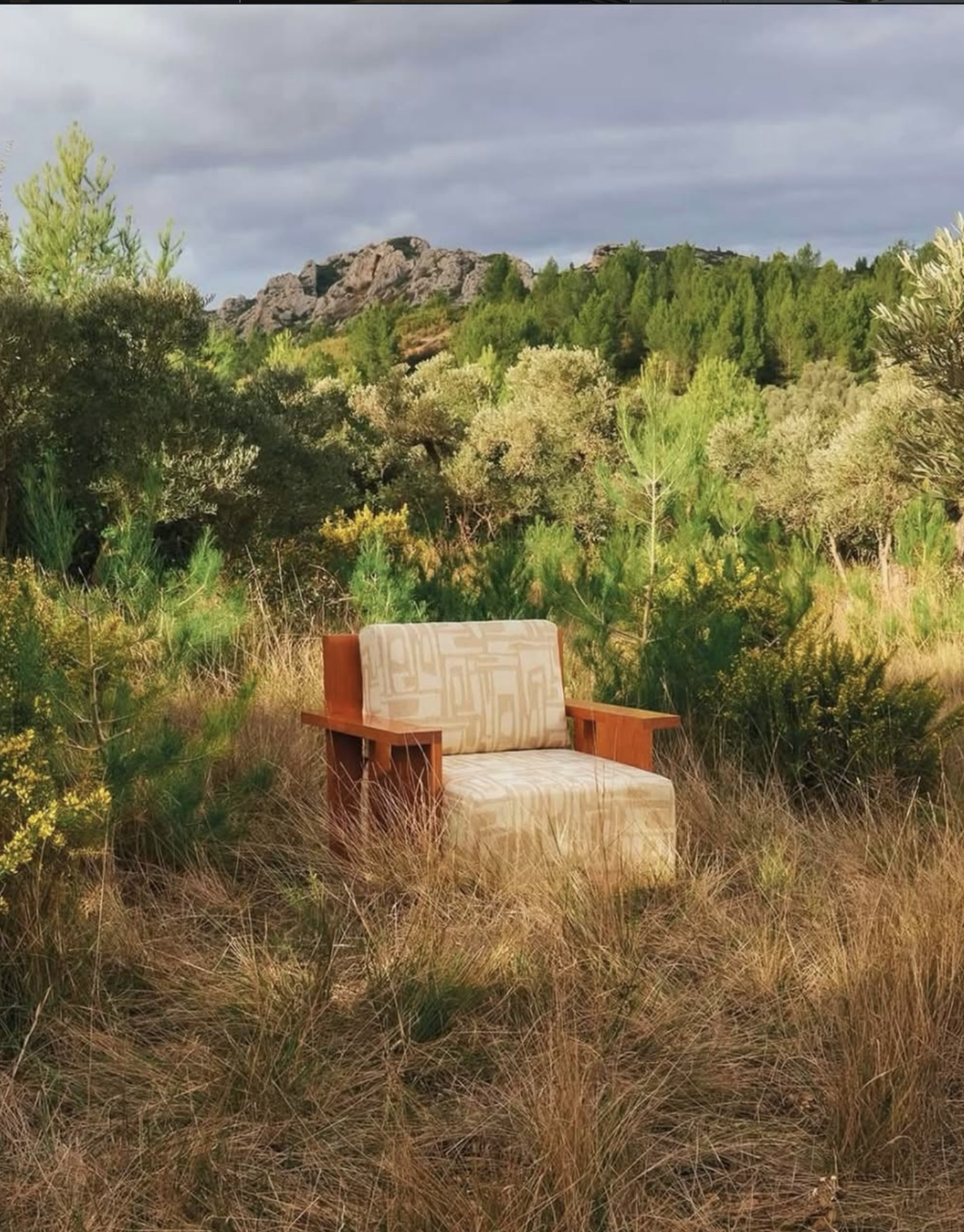 ALEXANDRE ARMCHAIR par De Troupe