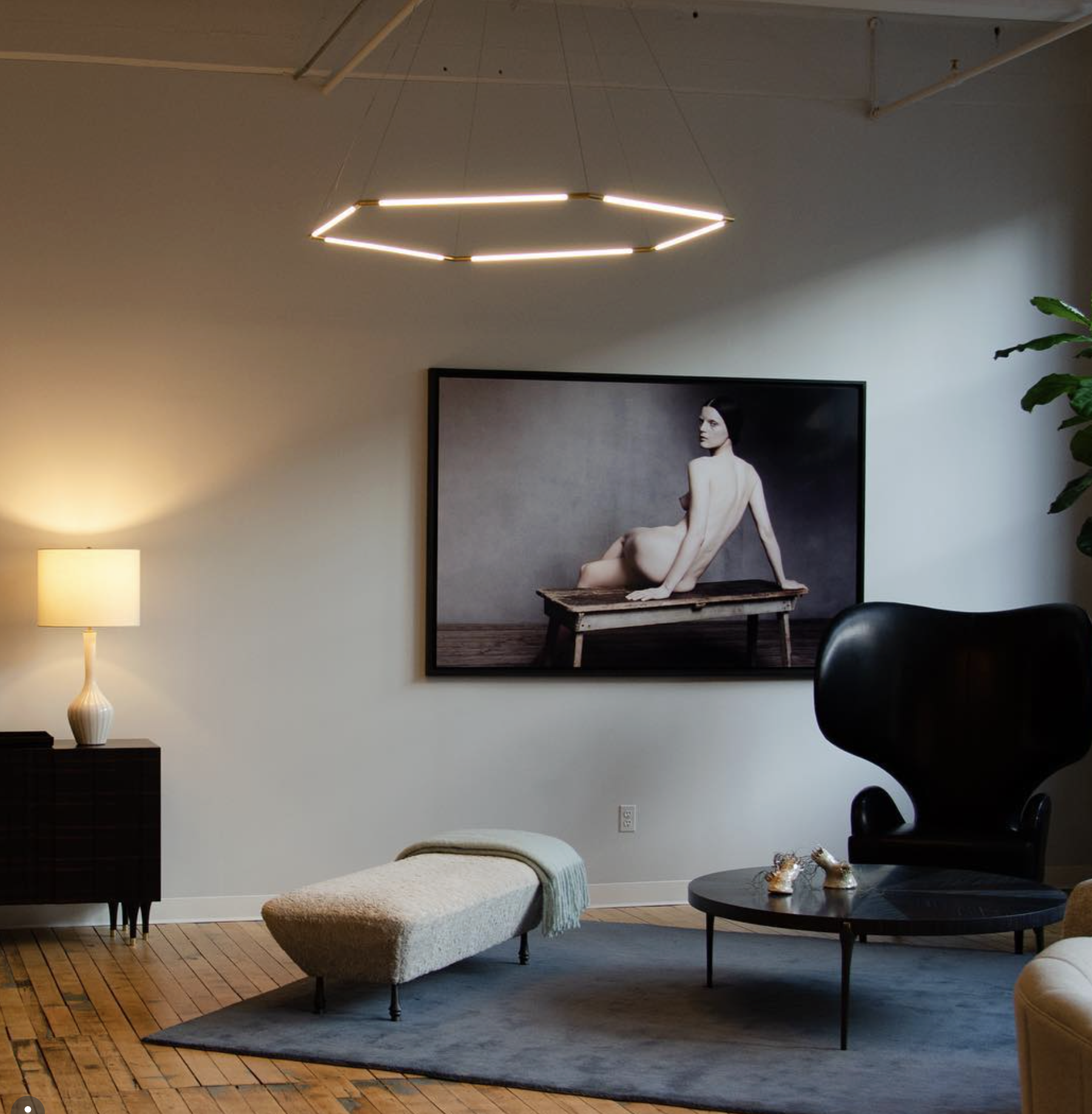 THIN PRIMARIES OCTOGON par Juniper