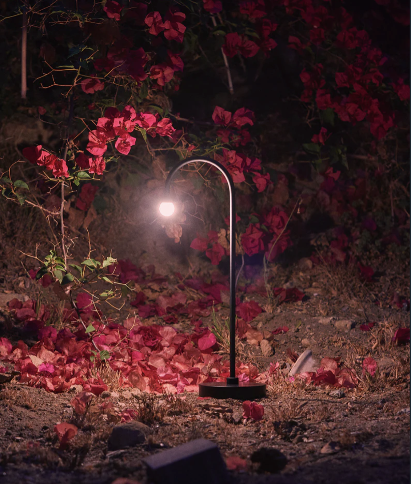 ARCA PORTABLE par Matter Made