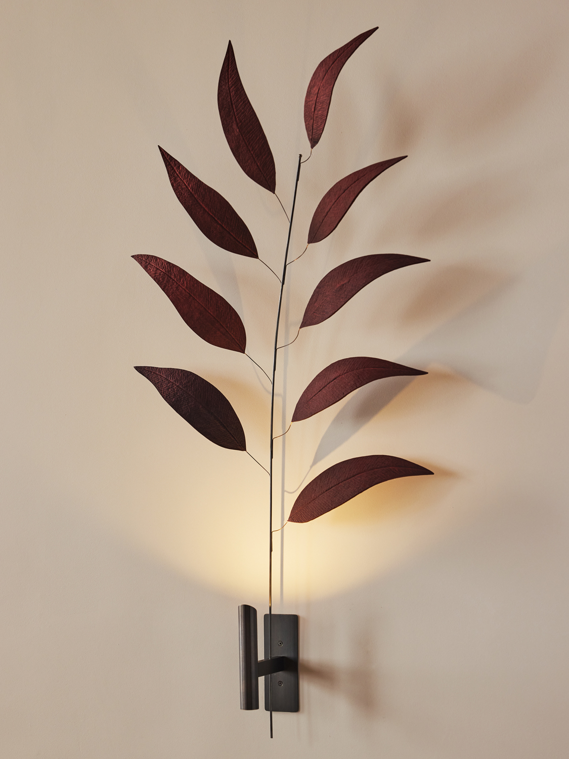 LURE RADIATA SPRIG 1 par Pelle