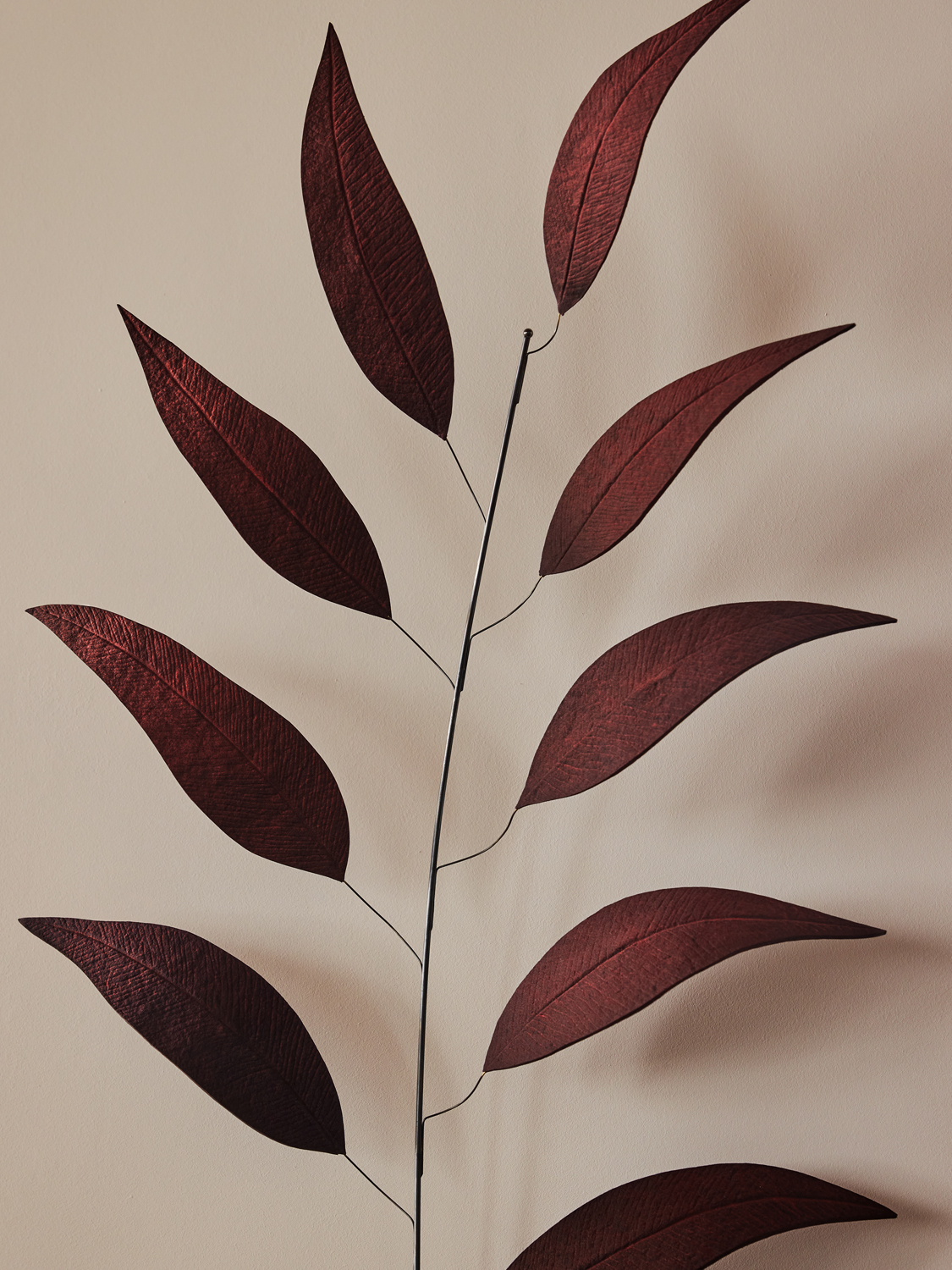 LURE RADIATA SPRIG 1 par Pelle