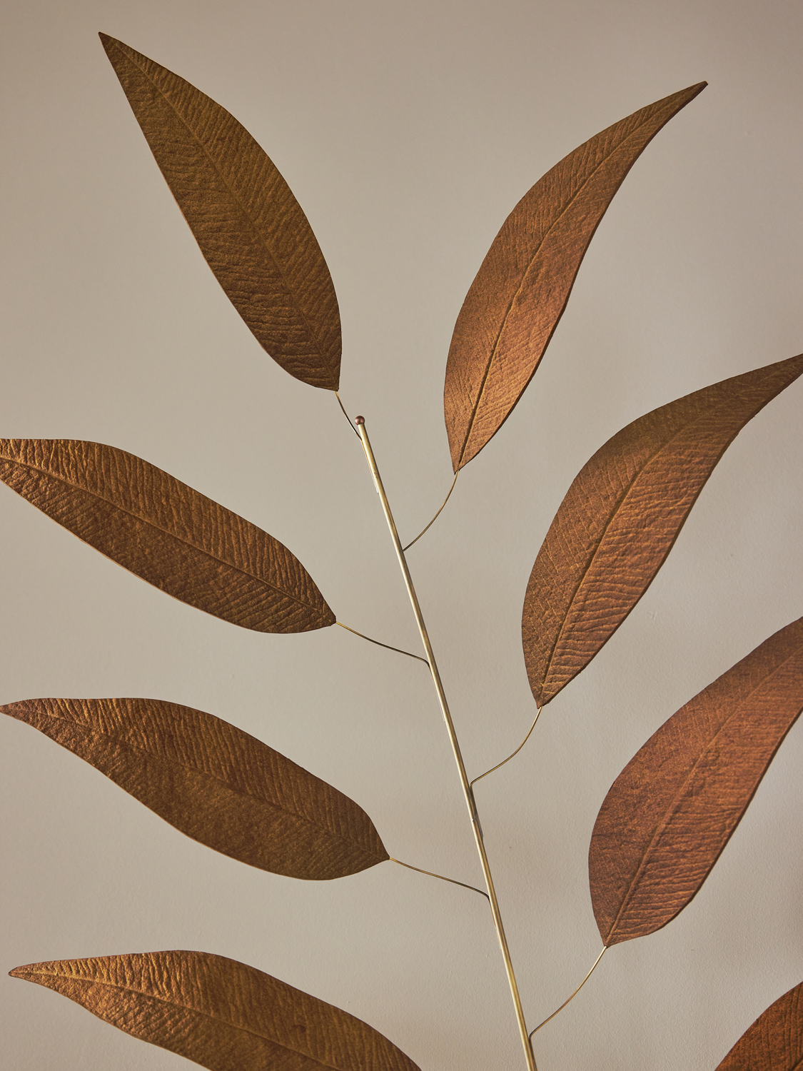 LURE RADIATA SPRIG 2 par Pelle
