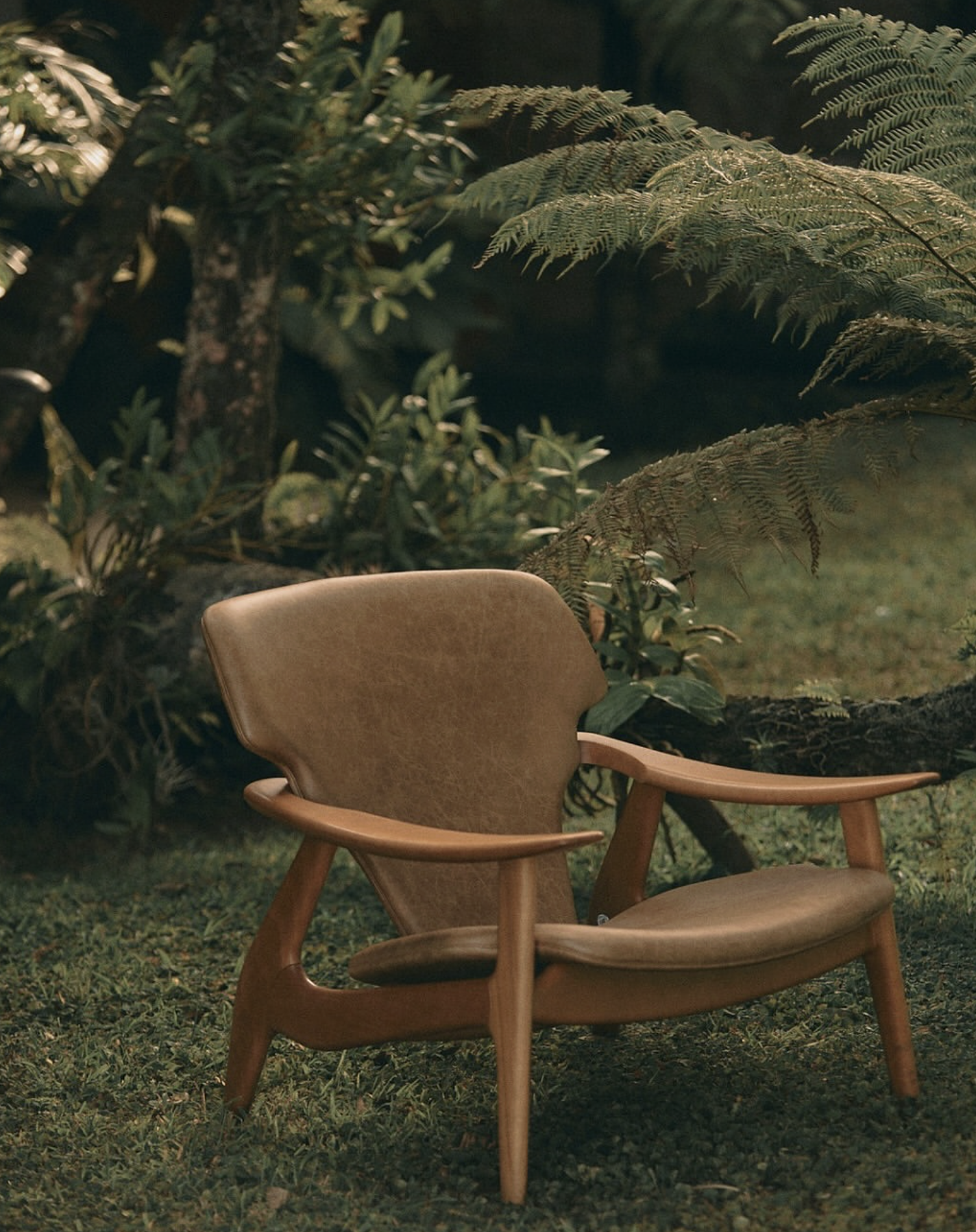 DIZ par Sergio Rodrigues