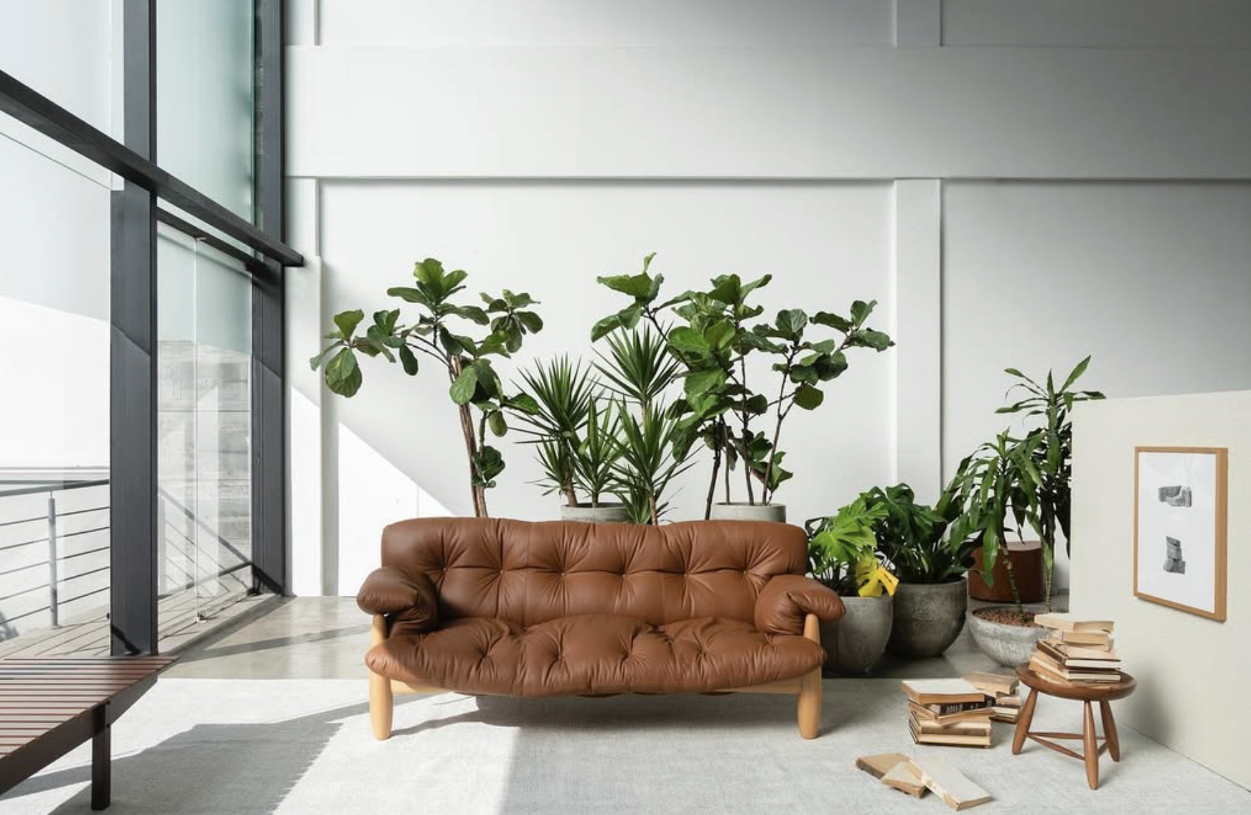 MOLE SOFA par Sergio Rodrigues