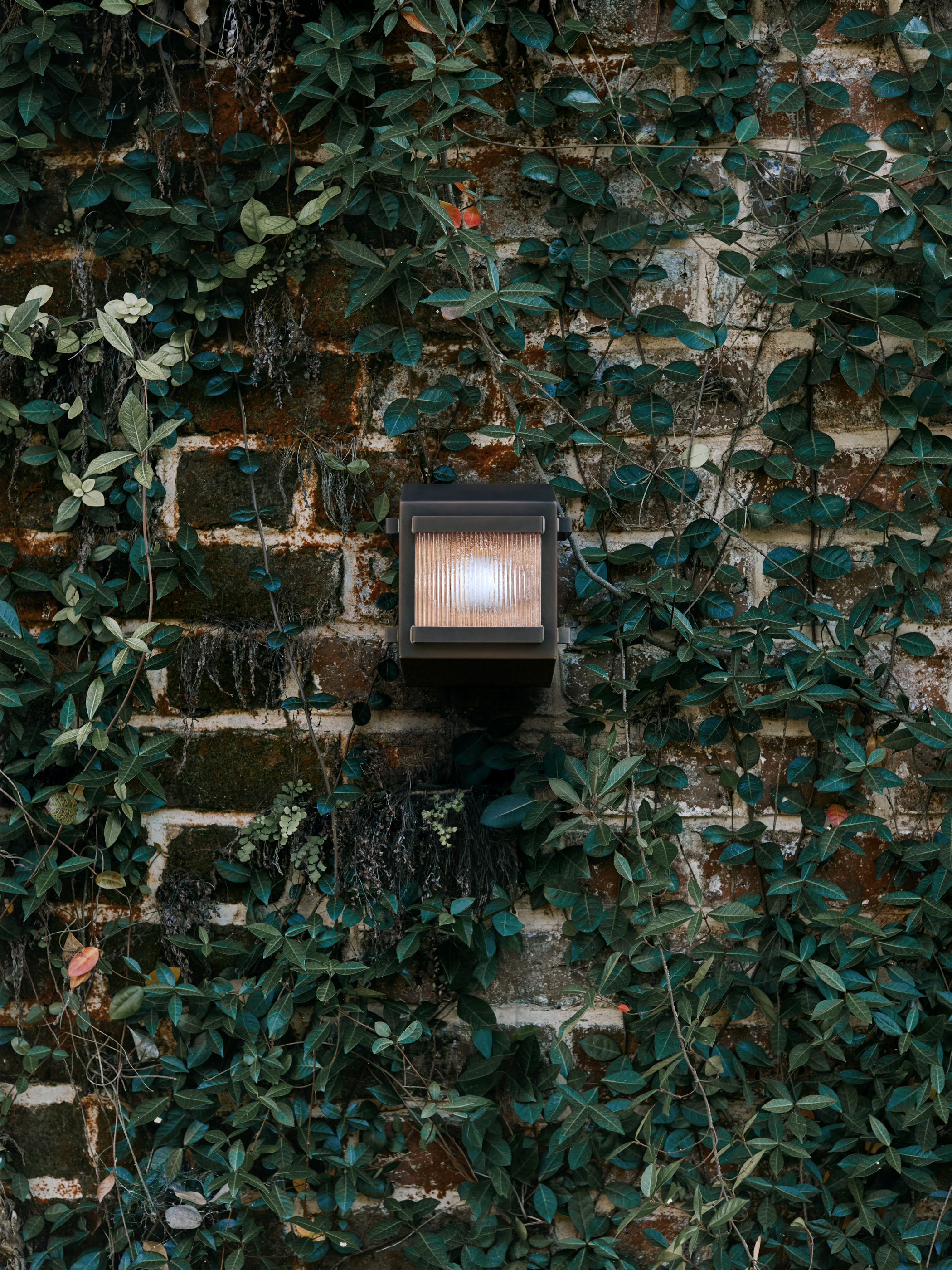 TREILLIS SCONCE par Workstead